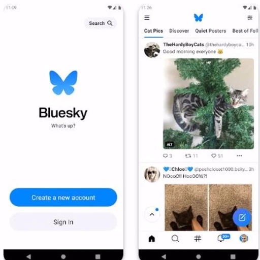 Bluesky se actualiza para luchar contra la suplantación de identidad